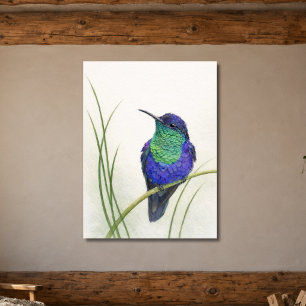 Affiche Colibri crowné aux couleurs vives