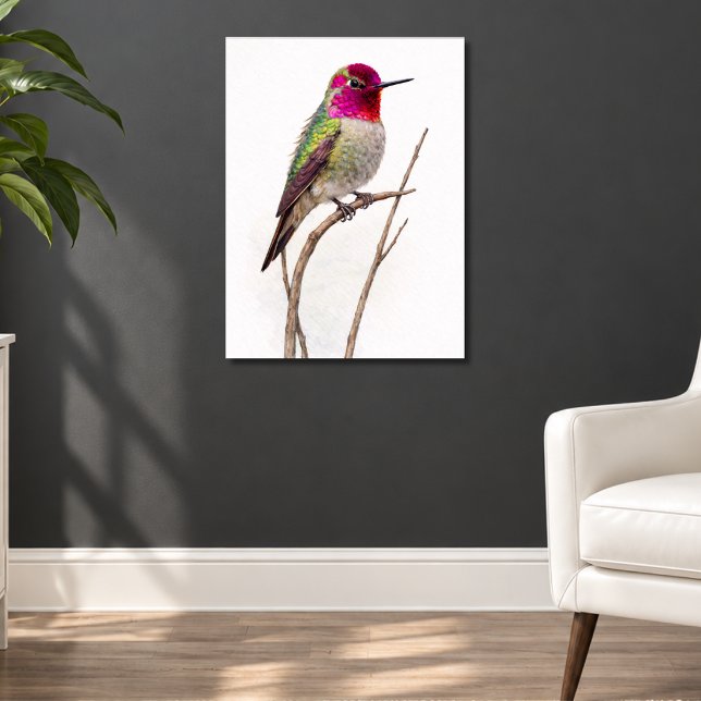 Affiche Colibri d'Anna Coloré (Créateur téléchargé)
