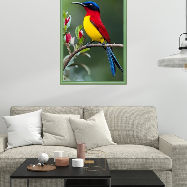 Affiche Colibri de Gould  (Créateur téléchargé)