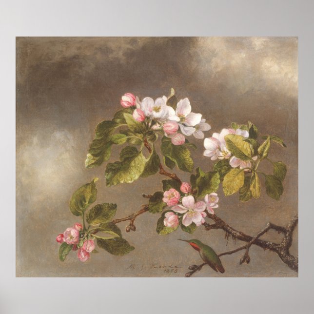 Affiche Colibri et Fleurs de Pommier 1875 (Devant)