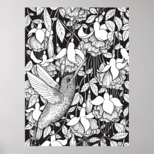Affiche Colibri et fuchsia