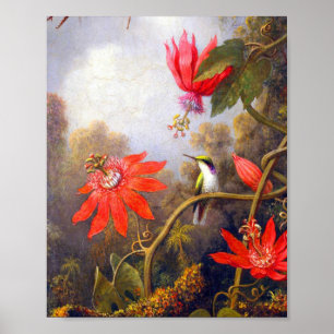 Affiche Colibri et Passiflora par Martin Johnson Heade