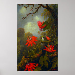 Affiche Colibri et Passionflowers (1875)