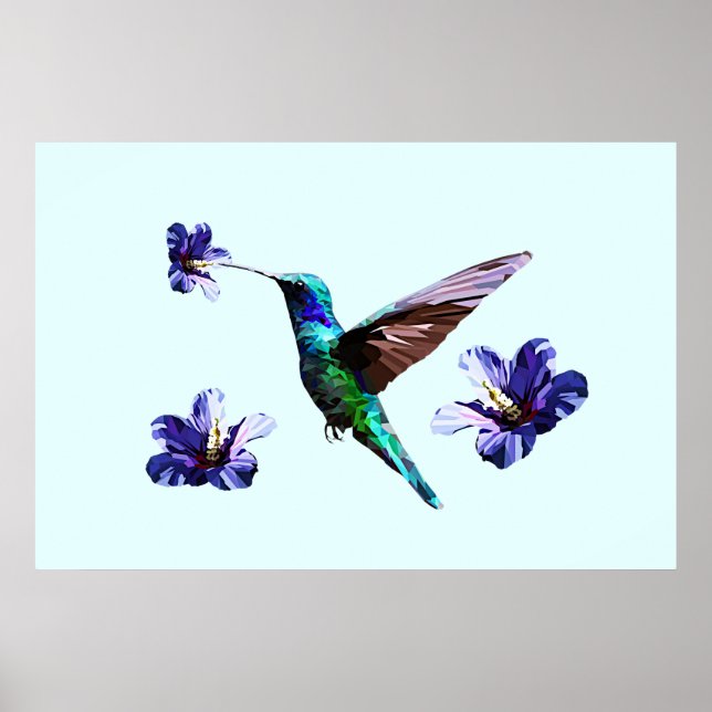 Affiche Colibri Gorge Bleu Céleste/Hibiscus (Devant)