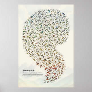 Affiche Colibri - Léger