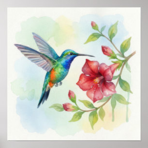 Affiche Colibri petit aquarelle