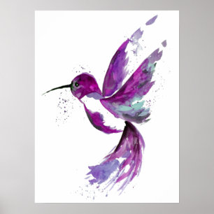 Affiche Colibri pourpre