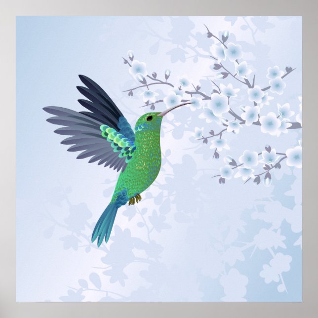Affiche Colibri Vert Avec Fleur De Cerisier Bleu (Devant)