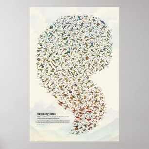 Affiche Colibris - Clair