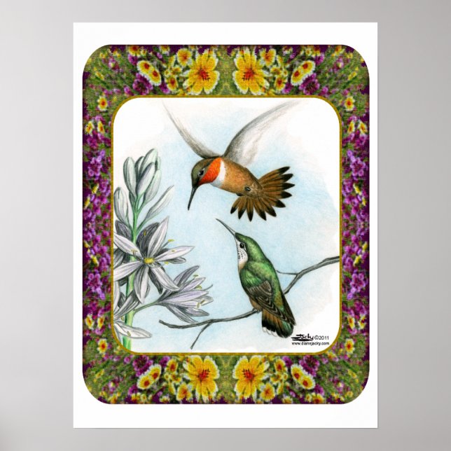 Affiche Colibris et fleurs #2 (Devant)