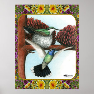 Affiche Colibris et fleurs #3