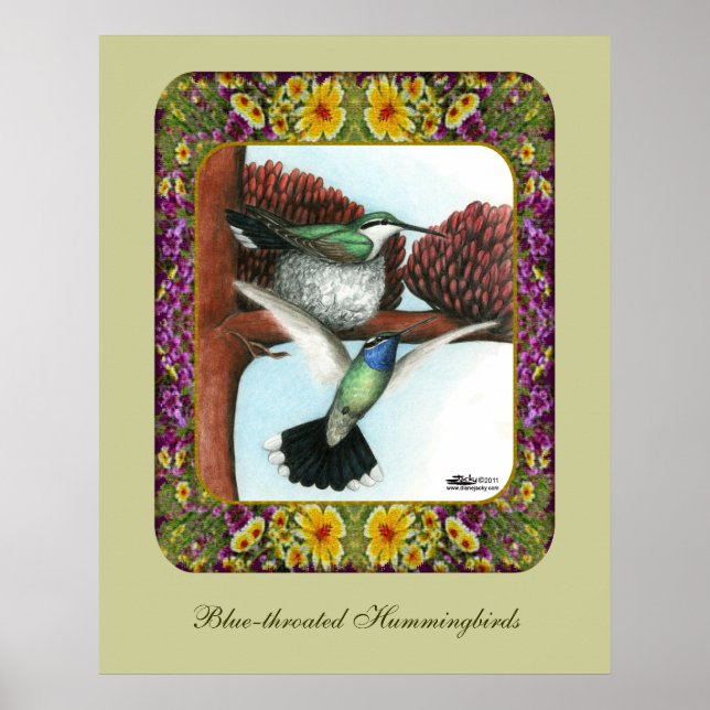 Affiche Colibris et Fleurs #3 (Devant)