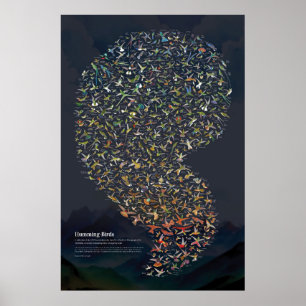 Affiche Colibris - Sombre