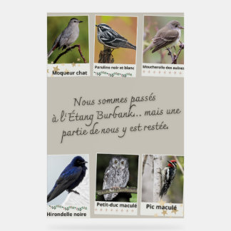 Affiche Collage d’Oiseaux de l'Étang Burbank –