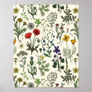 Affiche Collage de fleurs sauvages