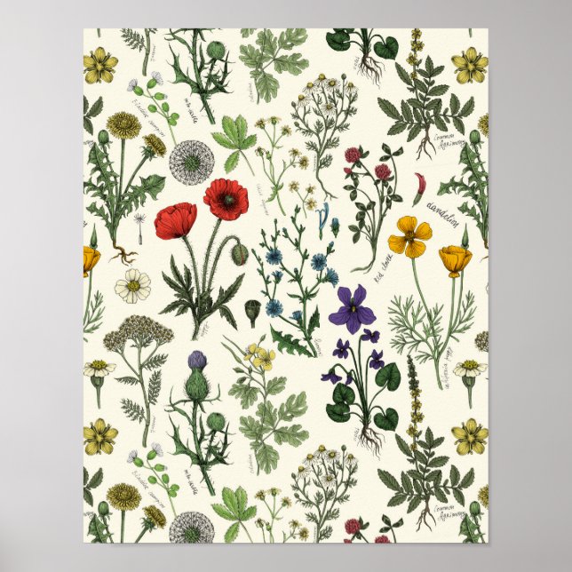 Affiche Collage de fleurs sauvages (Devant)
