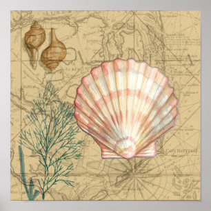 Affiche Collage de la carte côtière