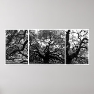 Affiche Collage de l'arbre Angel