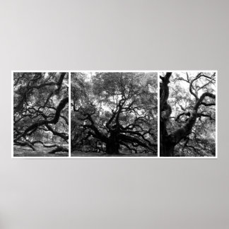 Affiche Collage de l'arbre Angel