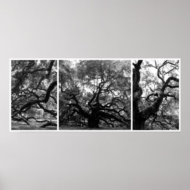 Affiche Collage de l'arbre Angel (Devant)