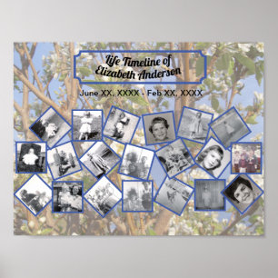 Affiche Collage de photos chronologiques sur un arbre en f