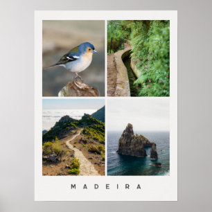 Affiche Collage de photos de voyage sur la nature et les p