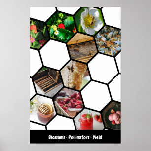 Affiche Collage Histoire Fraises, Pollinisateurs & Rendeme