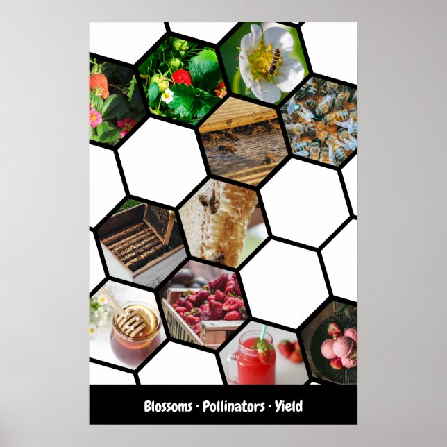 Affiche Collage Histoire Fraises, Pollinisateurs & Rendeme (Devant)