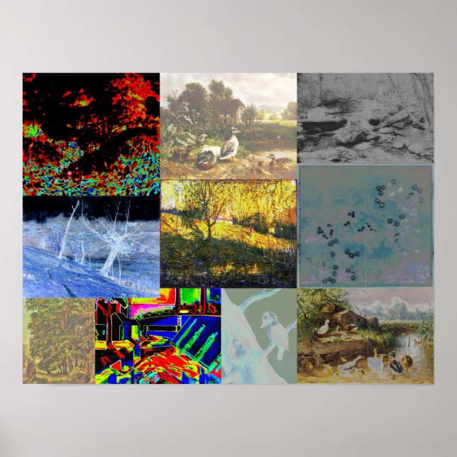 Affiche Collage naturel (Devant)