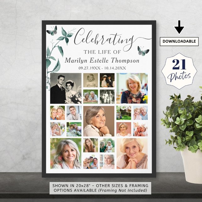 Affiche Collage photo funéraire 21 Papillon botanique (Créateur téléchargé)