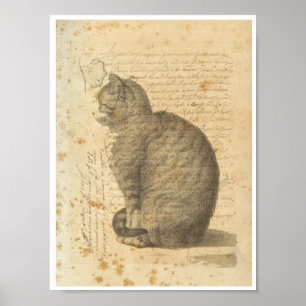 Affiche Collage vintage de chat