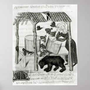 Affiche Collecte de miel