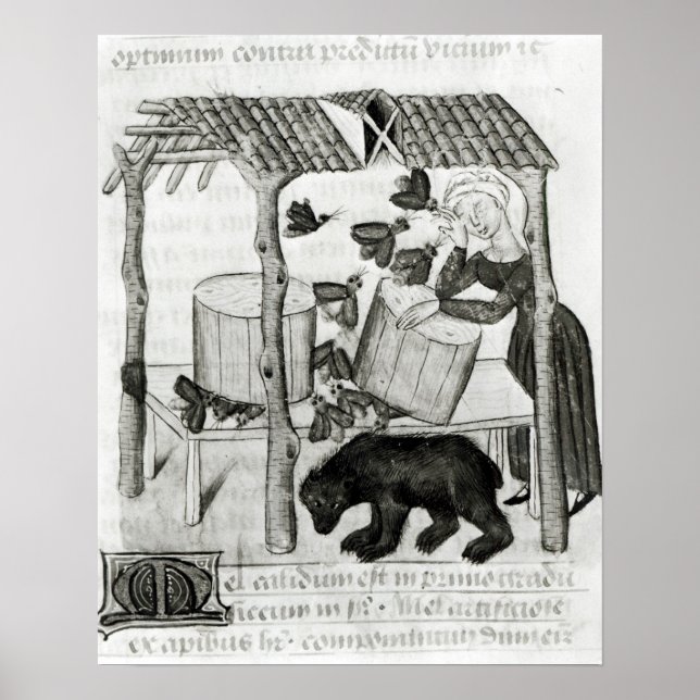 Affiche Collecte de miel (Devant)