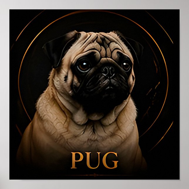 Affiche Collection Charmante Compagnie Pug (Devant)
