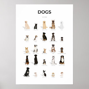 Affiche Collection chiens