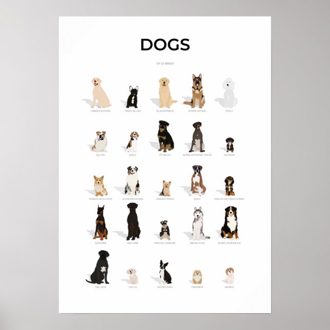 Affiche Collection chiens (Devant)