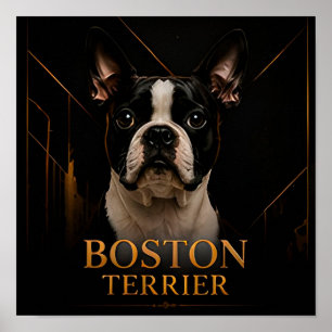 Affiche Collection Classique Américaine Boston Terrier
