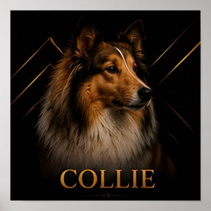 Affiche Collection Collie Heritage Shepherd