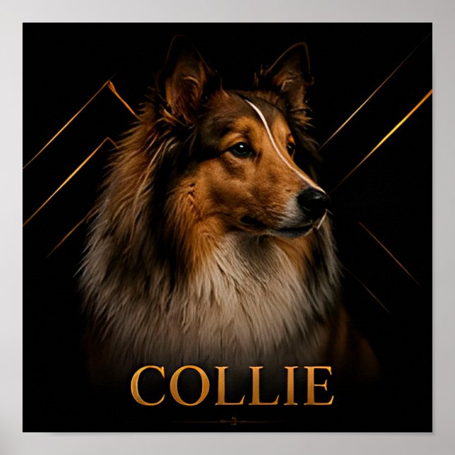 Affiche Collection Collie Heritage Shepherd (Devant)
