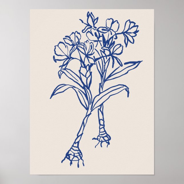 Affiche Collection d'affiches d'art nature (Devant)