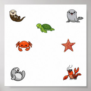 Affiche Collection d'animaux de mer