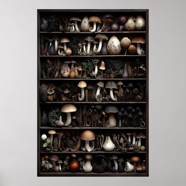 Affiche Collection de champignons dans la mousse, bois aut (Devant)