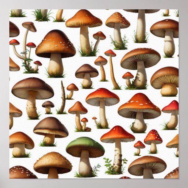 Affiche Collection de champignons Design Motif (Devant)