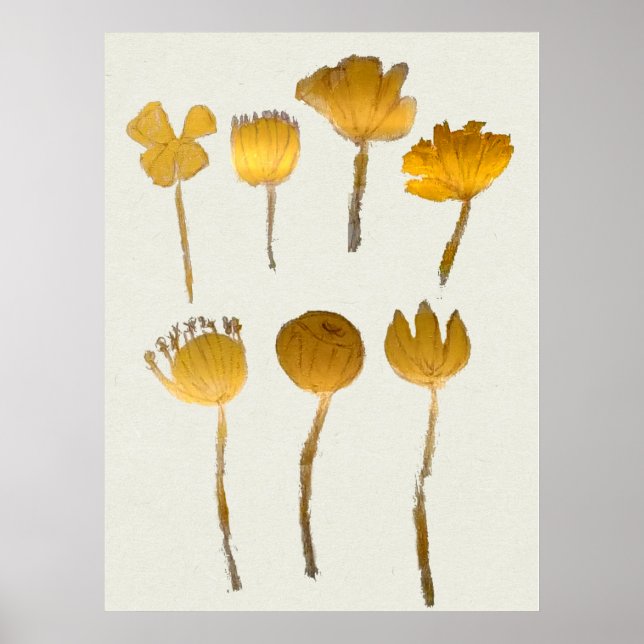 Affiche Collection de fleurs sèches abstraites (Devant)