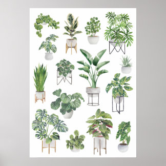 Affiche Collection de Plantes pointillés 5