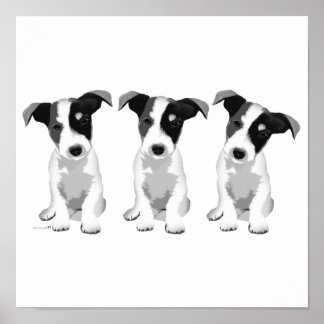 Affiche Collection Design Roseplatine®