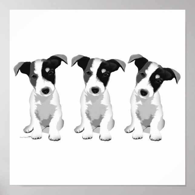 Affiche Collection Design Roseplatine® (Devant)