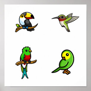 Affiche Collection d'oiseaux