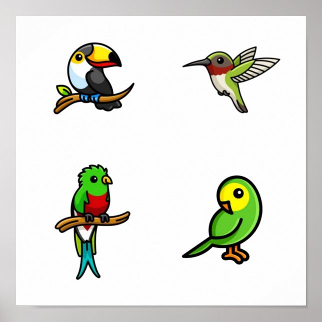 Affiche Collection d'oiseaux (Devant)