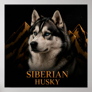 Affiche Collection Esprit Nordique du Husky Sibérien